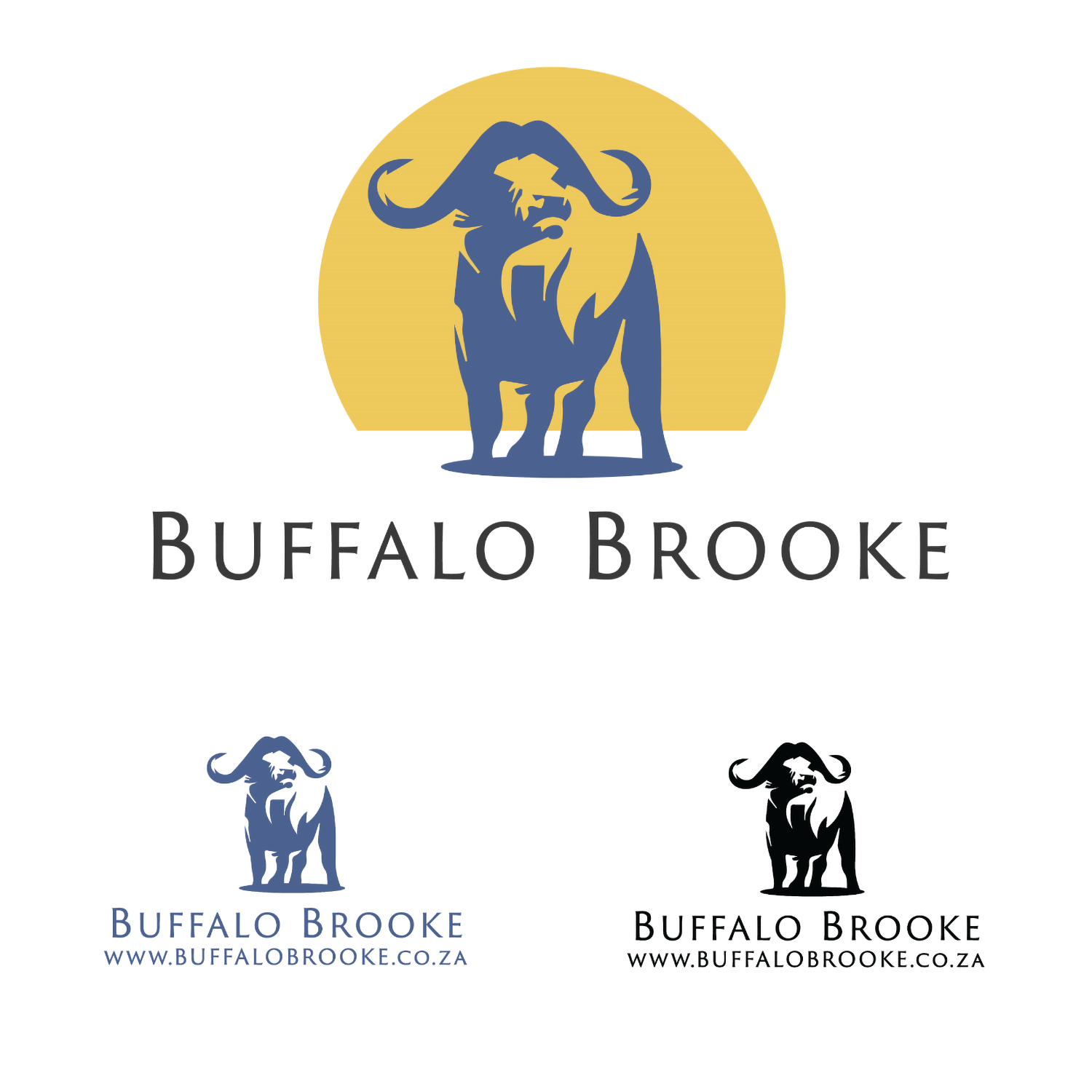 Buffalo Brooke Design