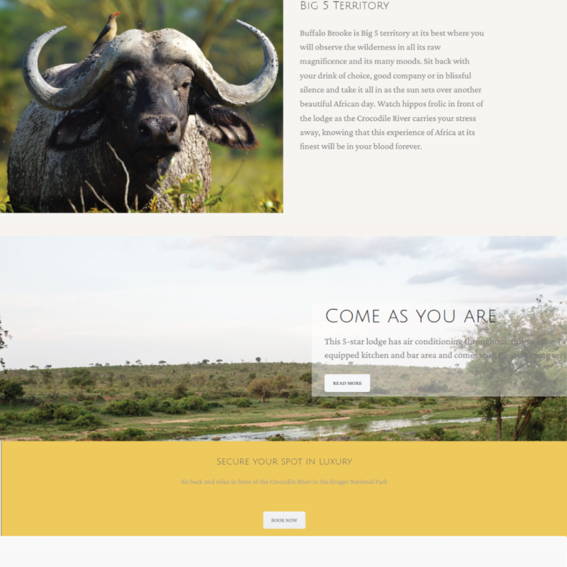 Buffalo Brooke Website