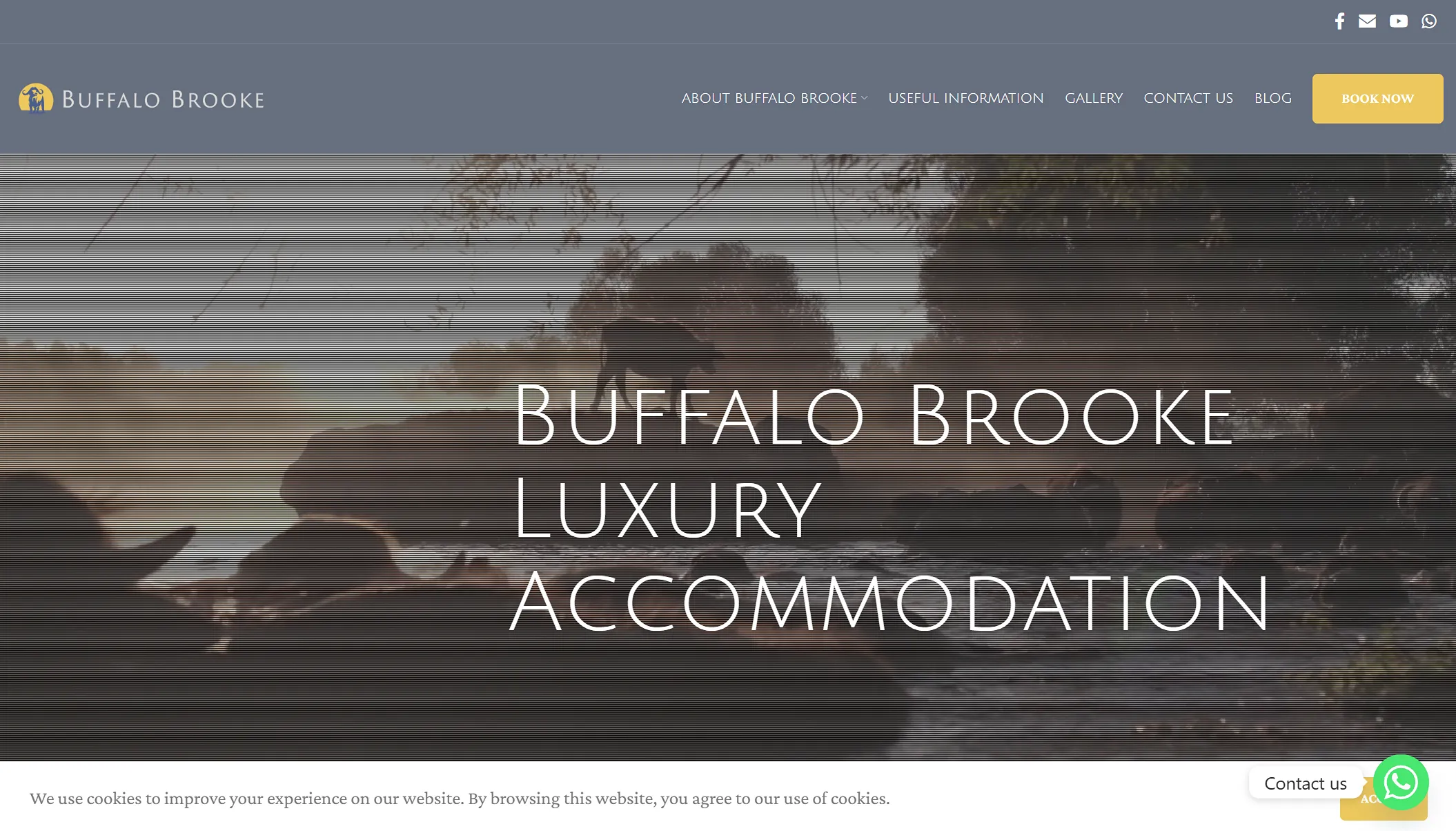 Buffalo Brooke Luxury Accommodation website homepage